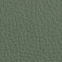 Green Verdino